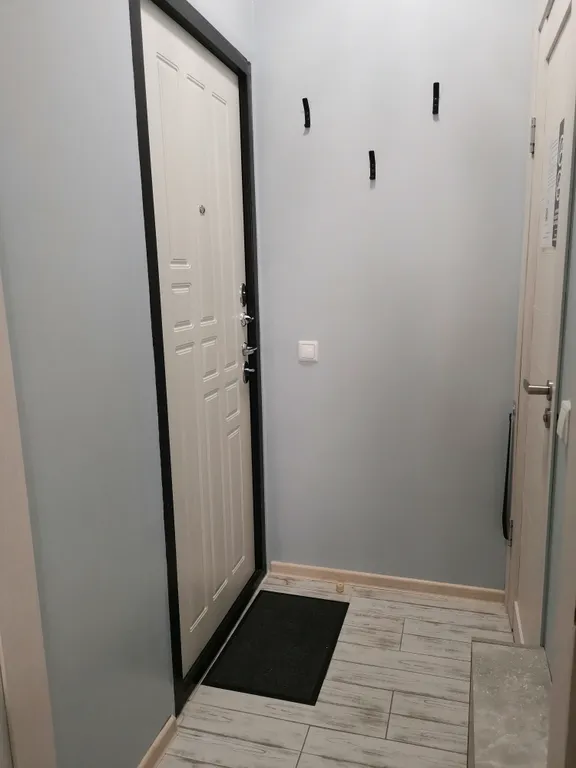 Уютная квартира-студия