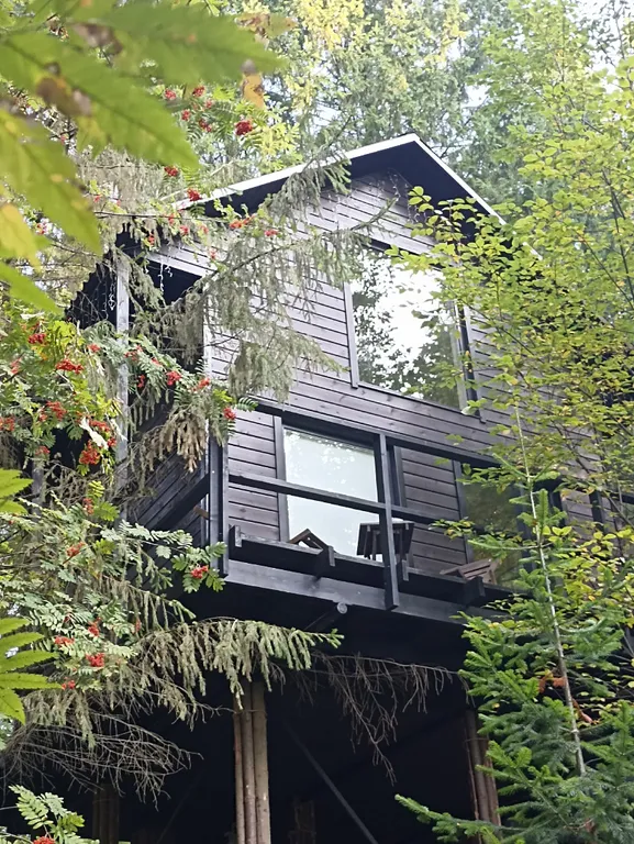 Дом на Опушке