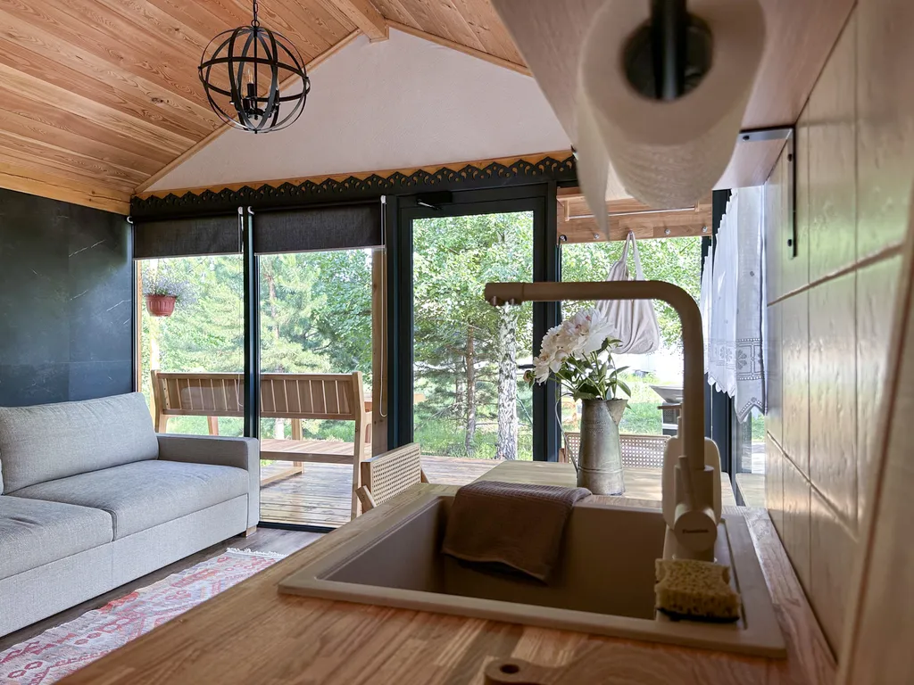 Шале посреди молодого сосново-березового леса