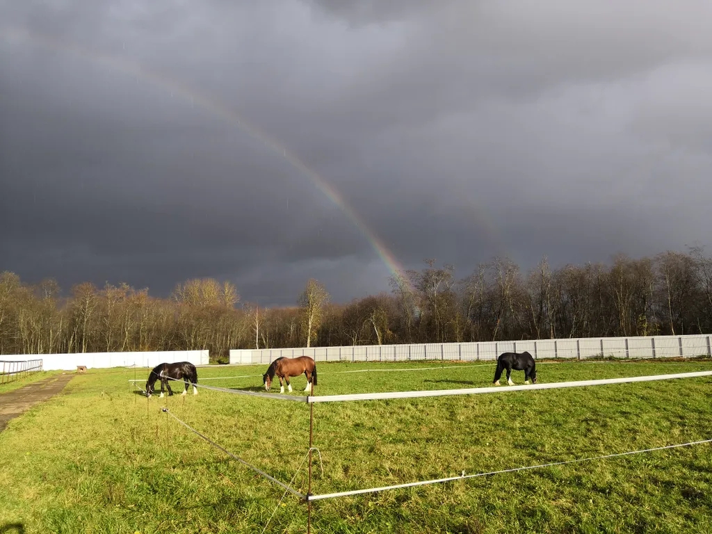 Коттедж Коттедж Усадьба Красивая — Коришево
