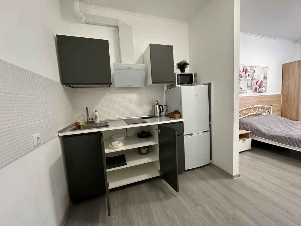 Квартира студия с видом на реку