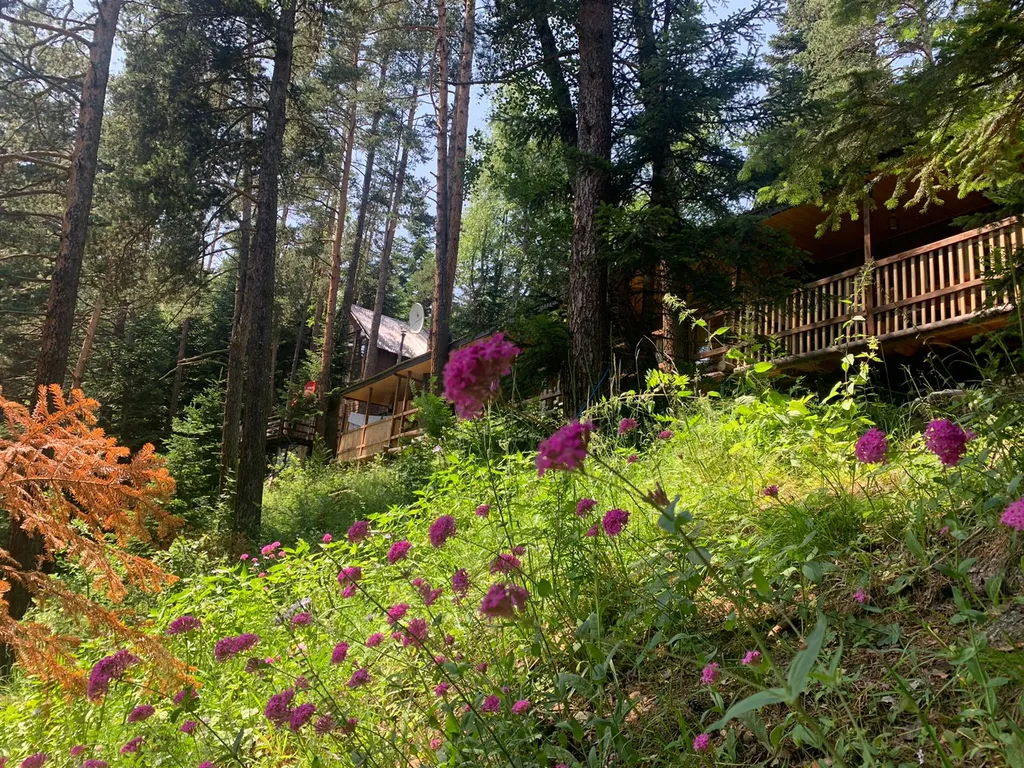 2-комнатный Дом