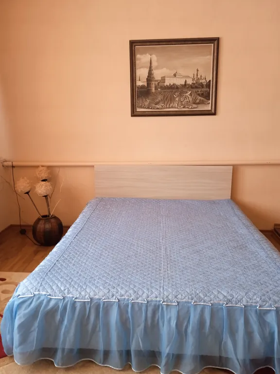 Коттедж Уютные апартаменты на Мира — аренда посуточно в Павловск