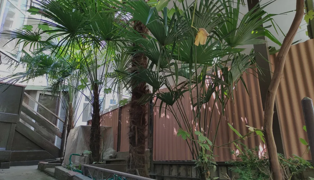 Дом с уютным двором в Приморском парке