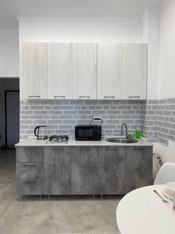 1-комнатная квартира с проектором