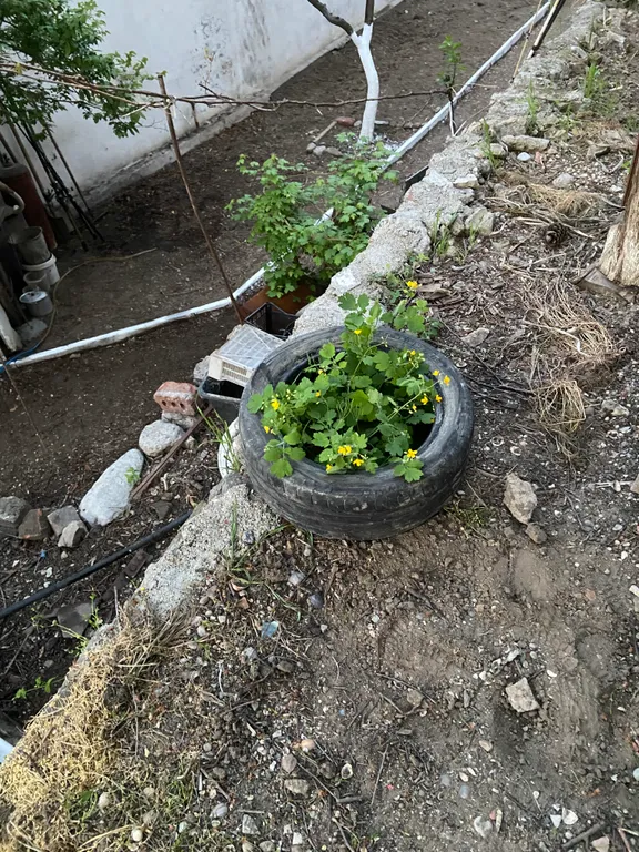 Комната на берегу