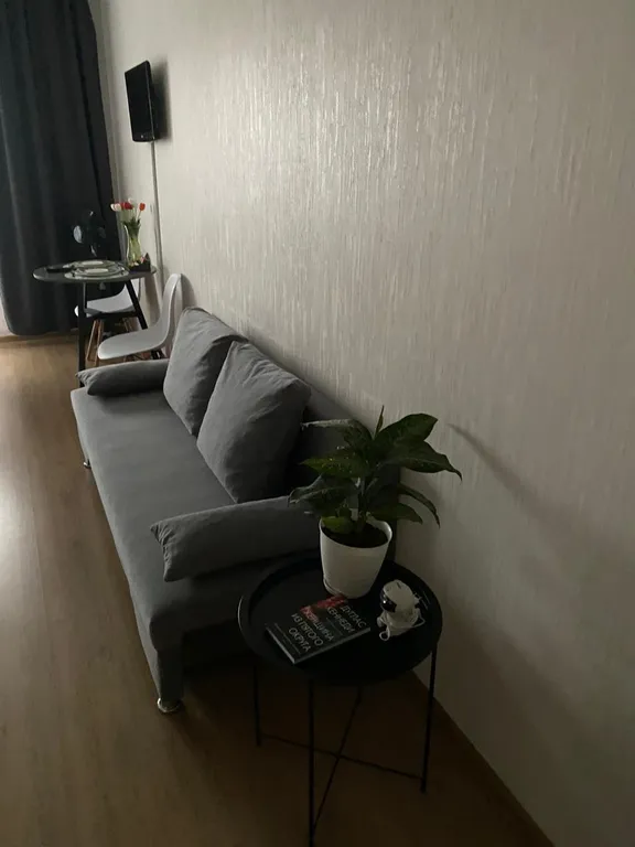 Студия Академ