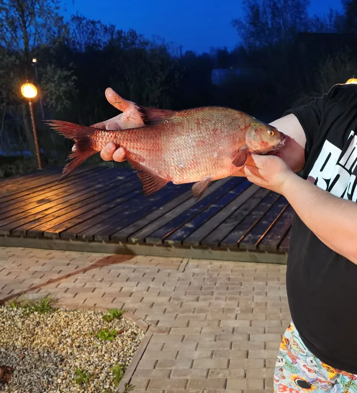 Коттедж Дом с русской баней — Белоозёрский