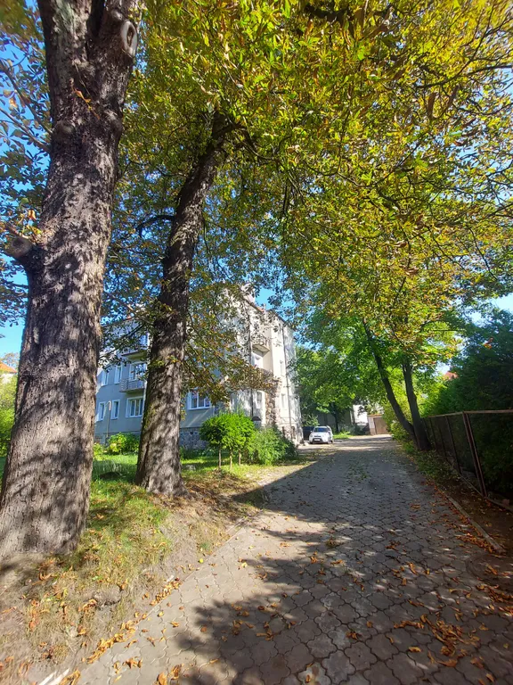 Квартира Апартаменты Белка в вилле Хайтманн — Калининград