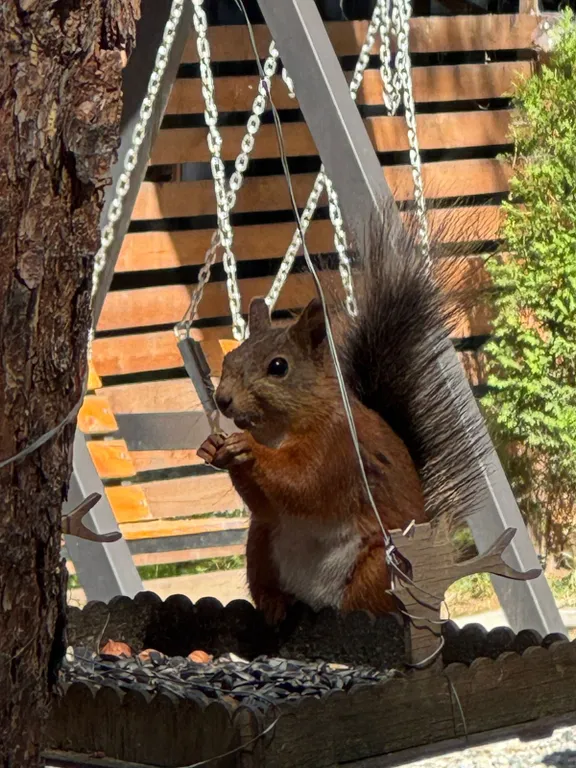 Коттедж 1-комнатный Дом — Архыз