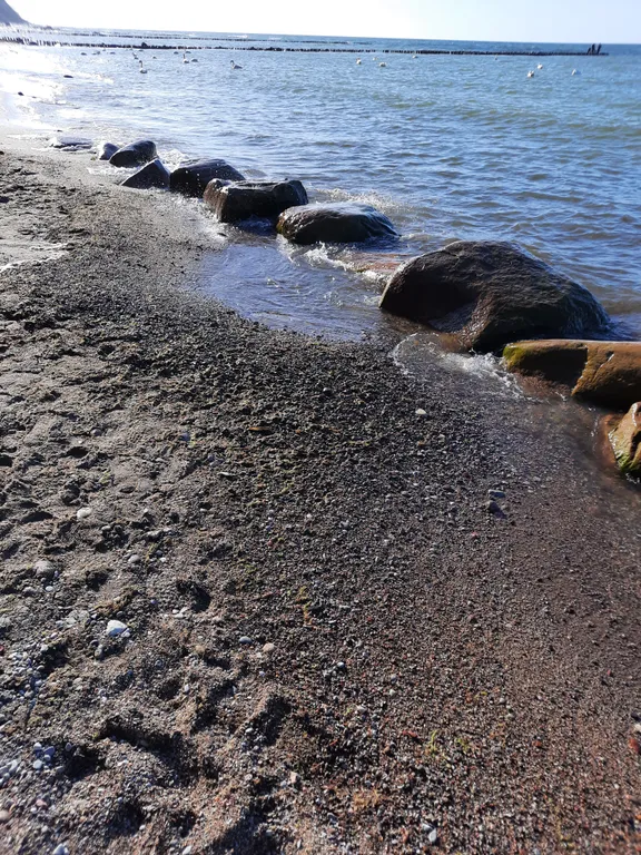 Квартира Уютная просторная квартира в тихом месте — Светлогорск