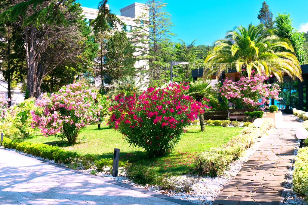 Лазурные апартаменты на берегу моря в отеле Лучезарный Резорт 4