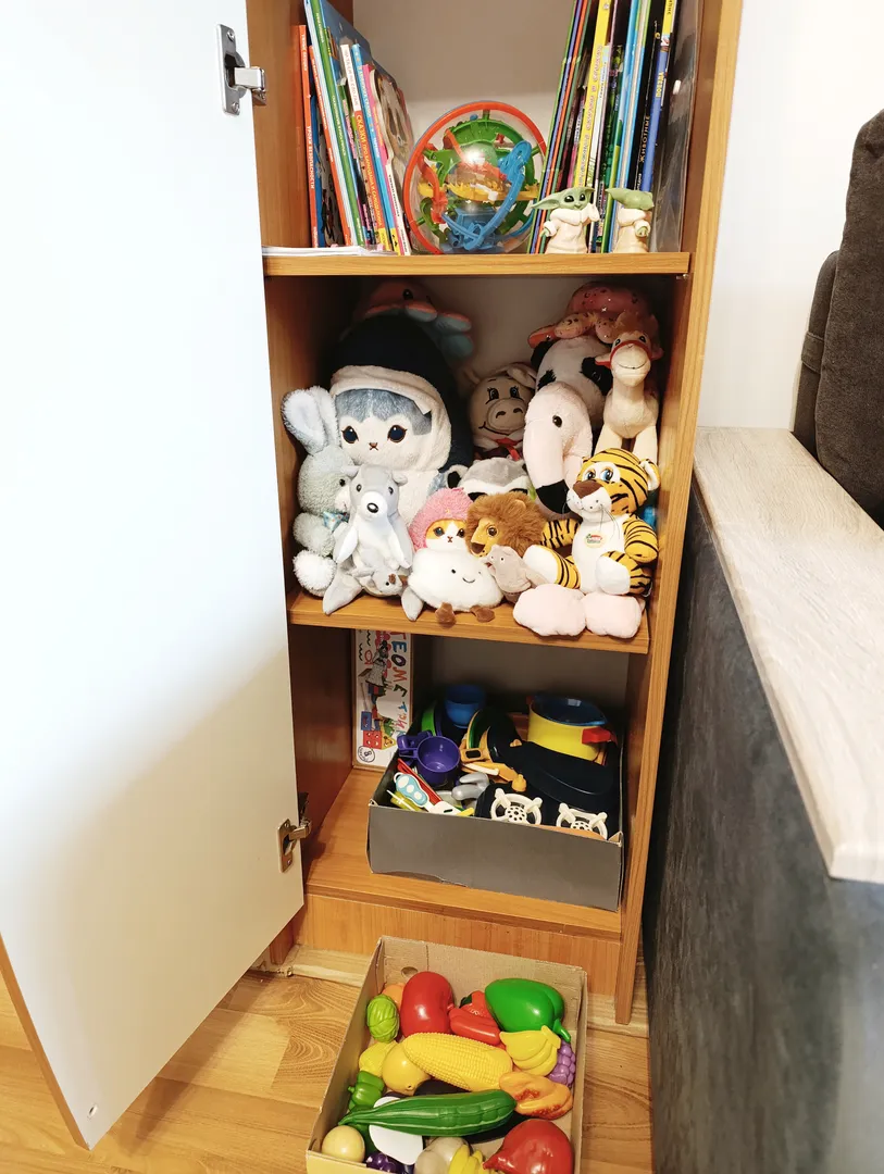 Книги, игры, игрушки (на фото только часть)