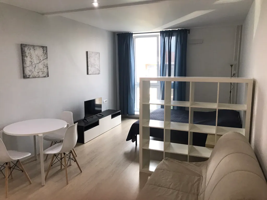 Квартира Просторная студия — аренда посуточно в Отрадное