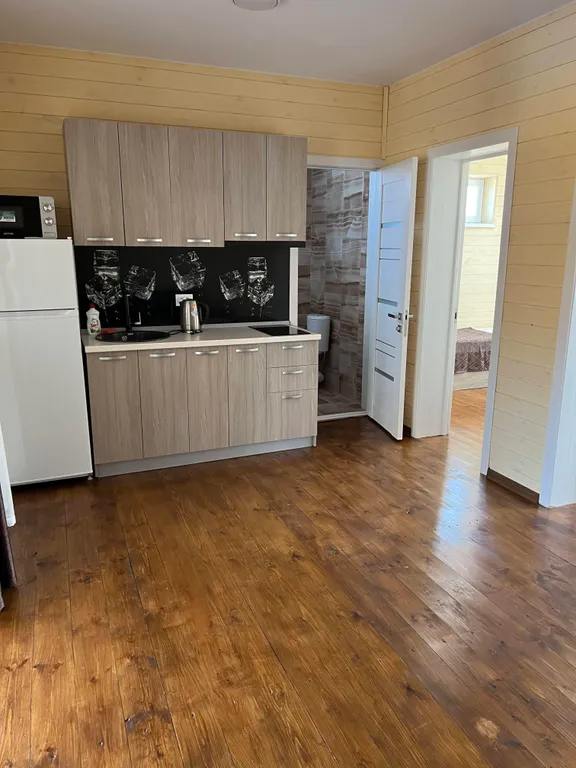 Квартира апартаменты 50 м2 — аренда посуточно в Голубицкая