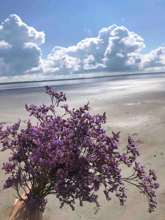 Жилье на озере Медвежьем