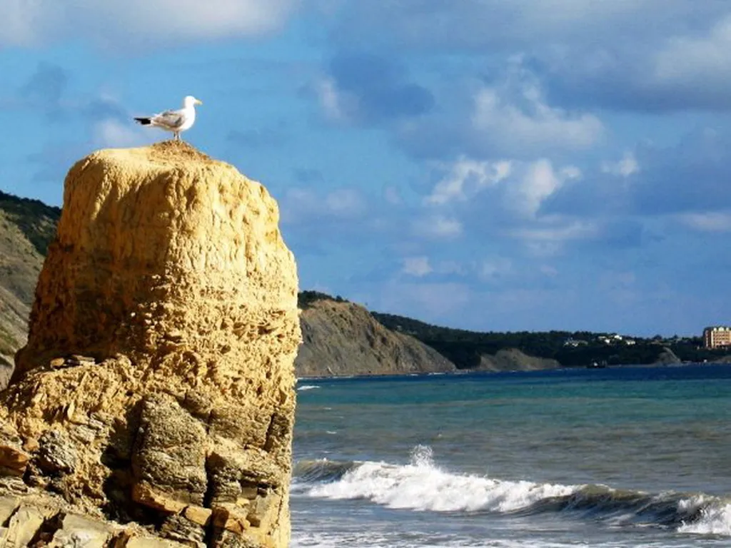 Апартамент в уютном частном секторе