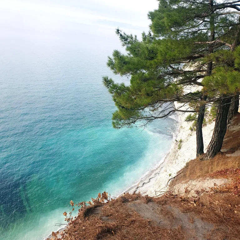 Жильё на побережье