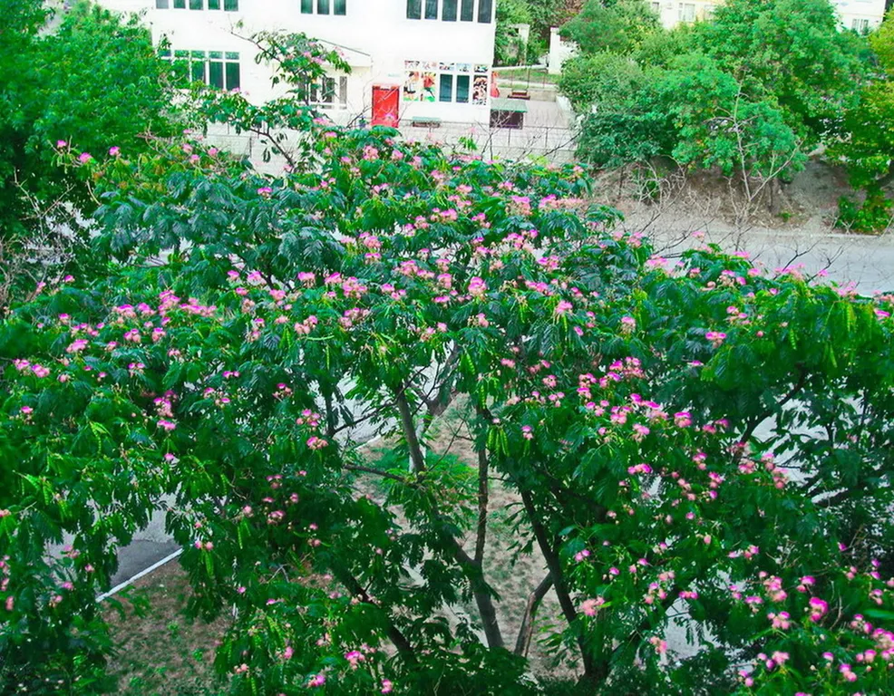 Квартира Квартира на Толстом Мысу между бухтой и открытым морем — Геленджик