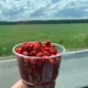 Марина