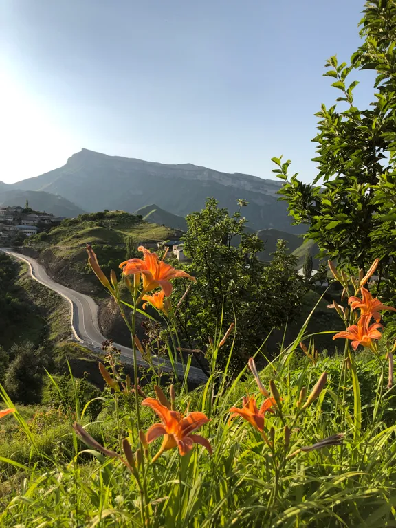 Гостевой домик Ругуджа с террасой и видом на горы и лес