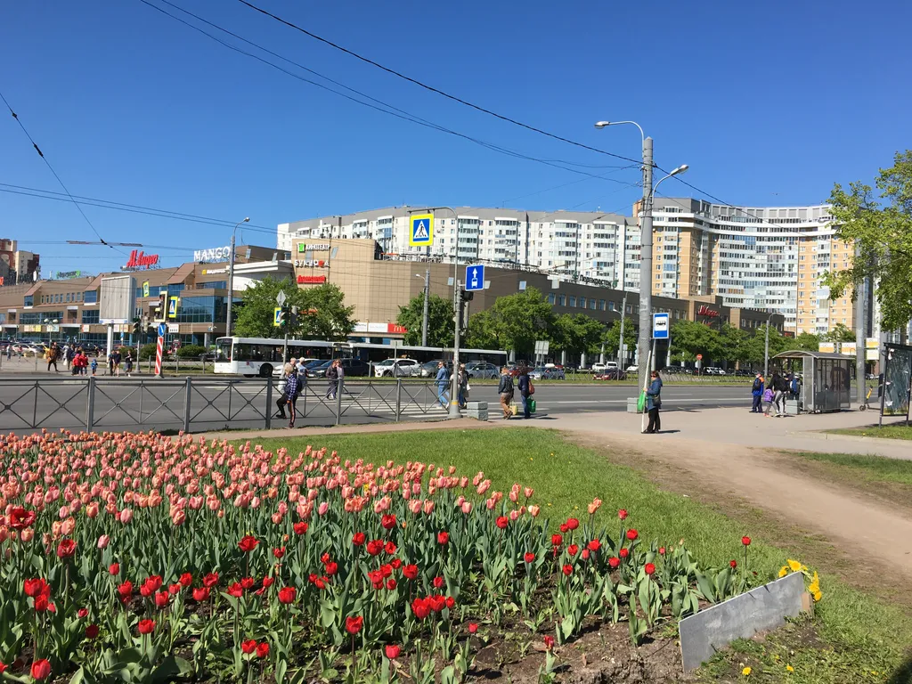 Квартира Уютная квартира Sofi для уютного отдыха — Санкт-Петербург