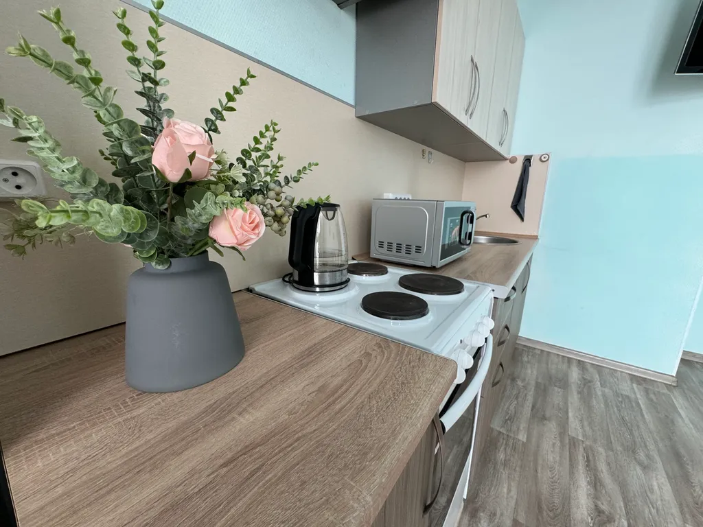 Уютная квартира в центре города с видом на Броско Молл