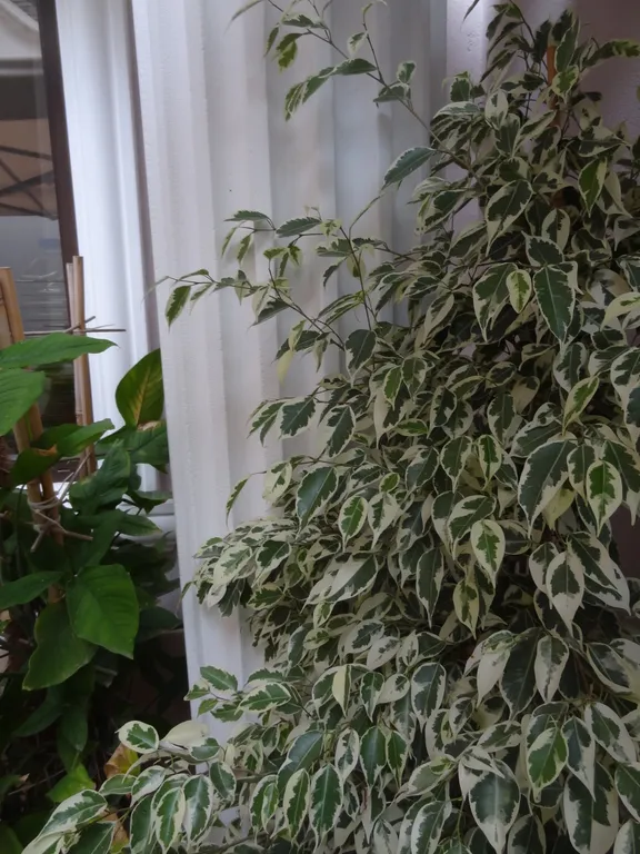 Апартаменты в центре курортной жизни Евпатории