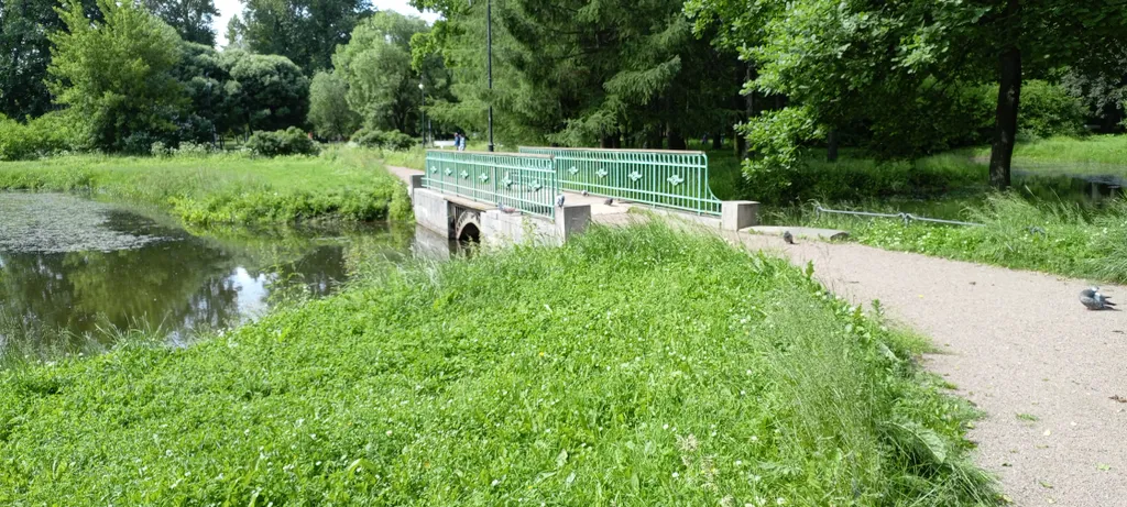 Комната у метро Нарвская