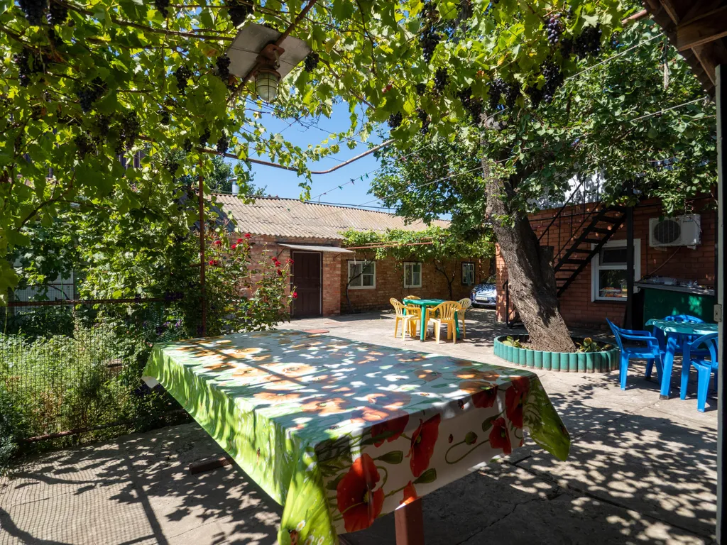 Комната в тени винограда