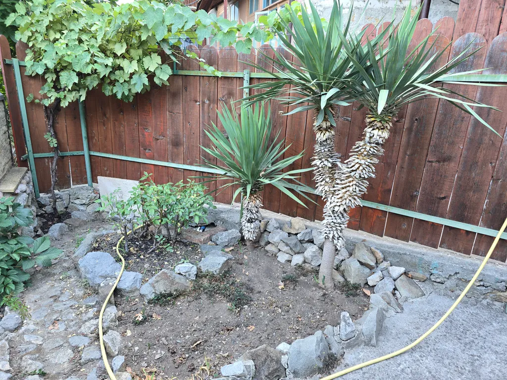 Уютный домик с удобствами, отдельная кухня, беседка, мангал