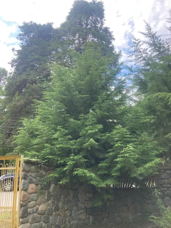 Дом для большой такой компании