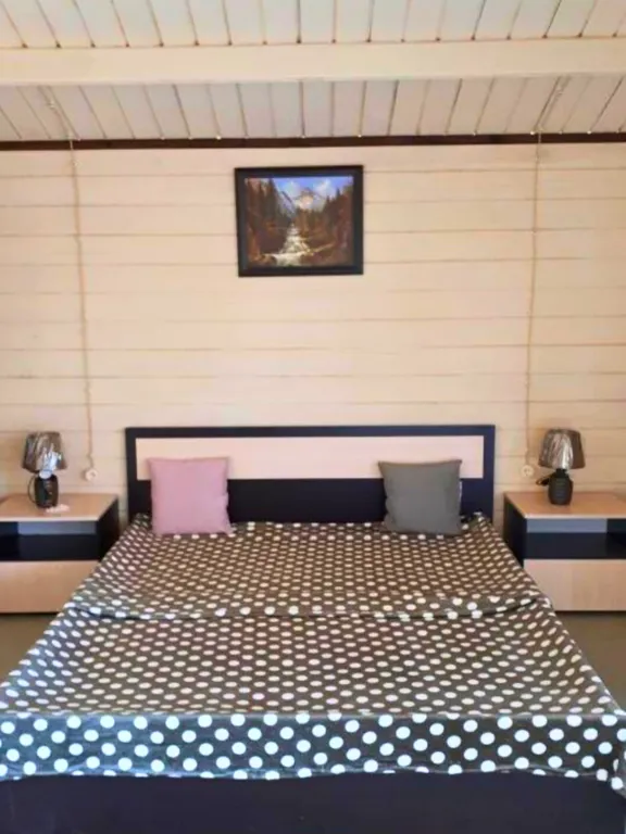 Домики у Лизы