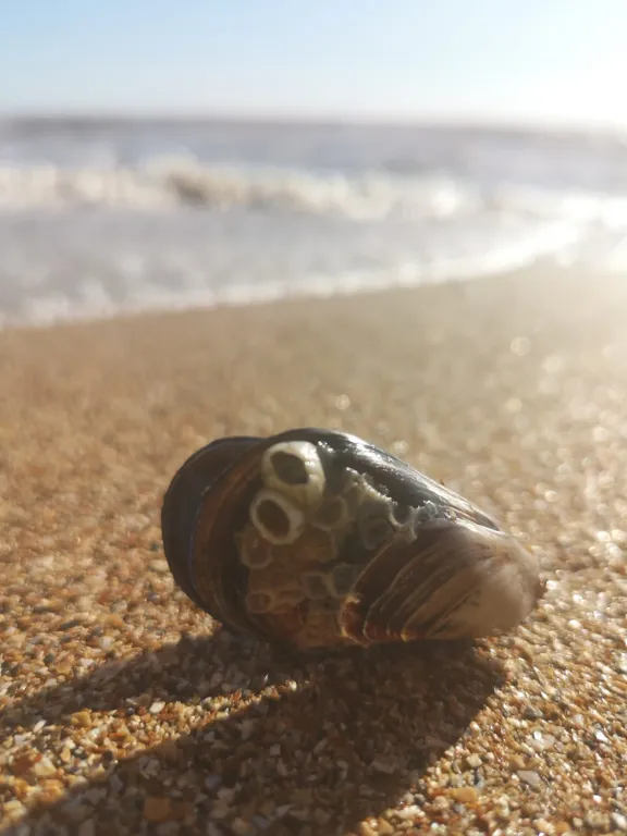 Домик-студия на море