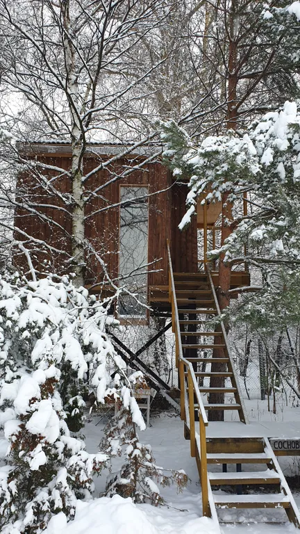 Коттедж Дом на дереве с окном на полу — Веськово