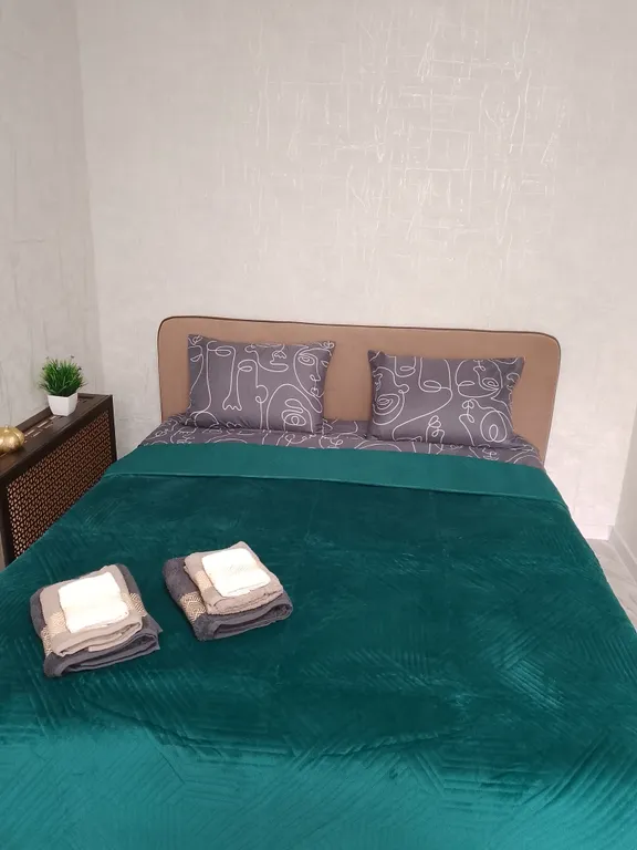 Квартира Шикарная квартира в центре города — Хабаровск