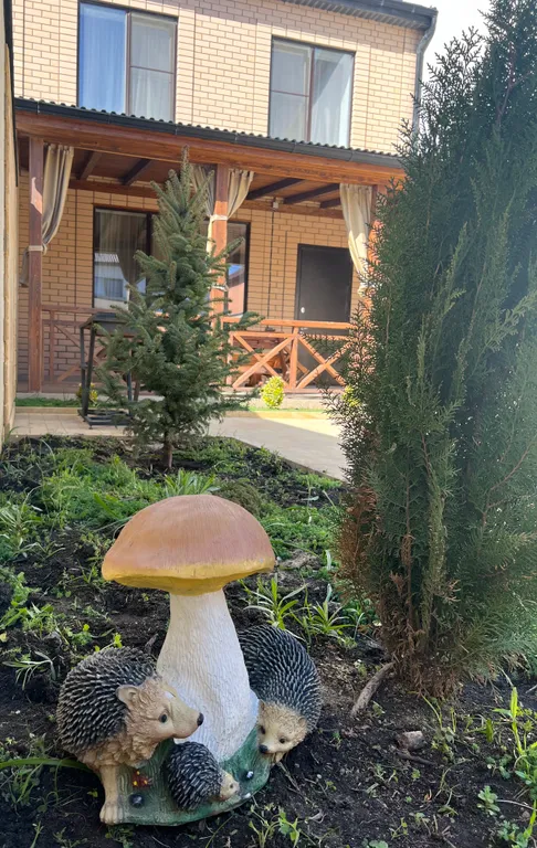 Домик на первой береговой линии