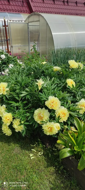 Частный дом Валентина