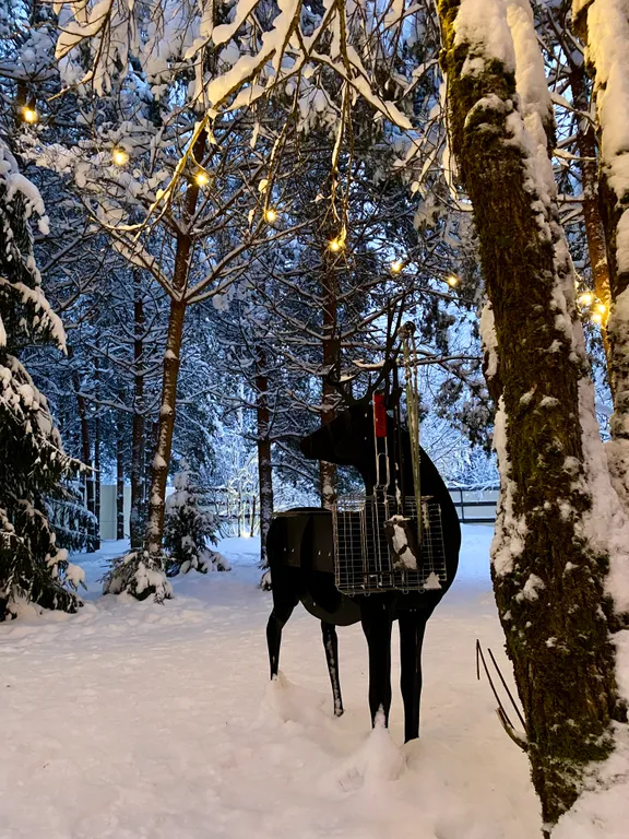 Мой дом Валдай