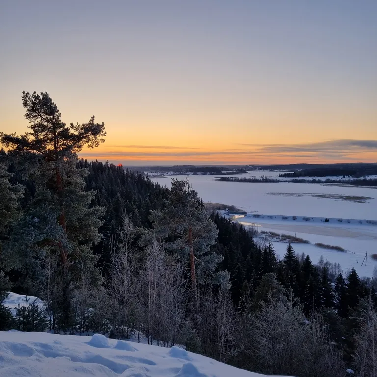 Дом Talotonttu на холме в окружении леса
