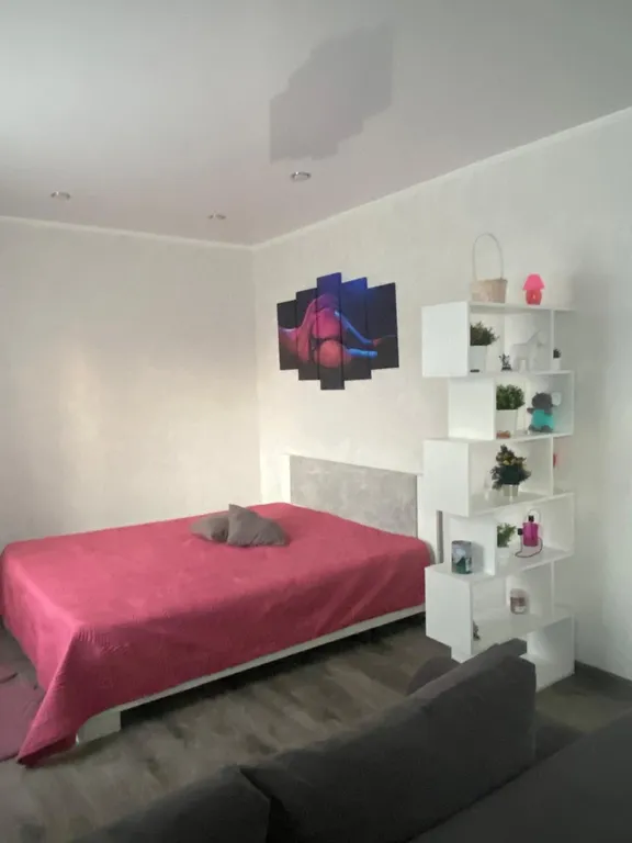 Уютная студия в центре города