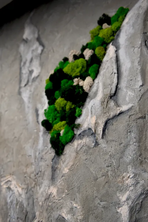 Самый центр Новосибирска