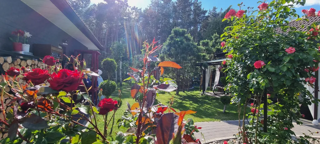 Brest dream garden. Атмосферный гестхаус с шикарным видом на лес