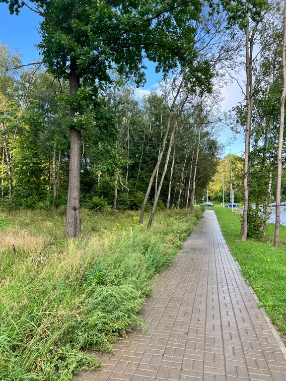 Уютная студия в центре