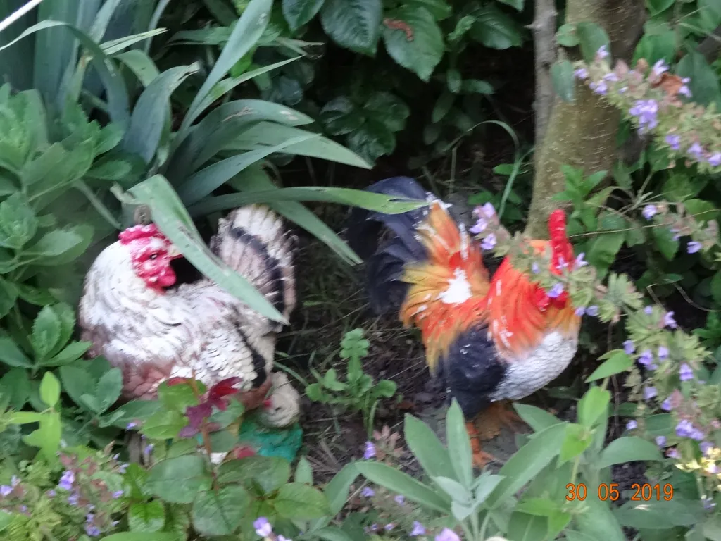 Коттедж Уютный деревянный дом — Анапа