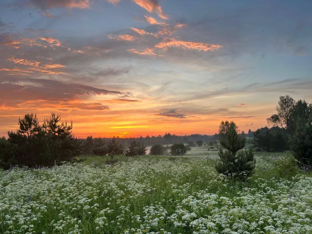 Уникальный арендный объект Кибитка на холме