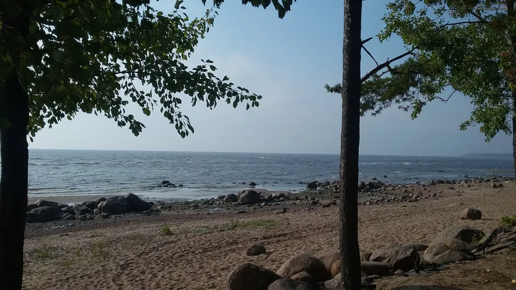 Коттедж Академическая дача (коттедж) у Финского залива, Зеленогорск-Смолячково — Санкт-Петербург