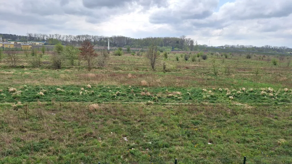 Квартира Уютная квартира в новом доме — Пионерский