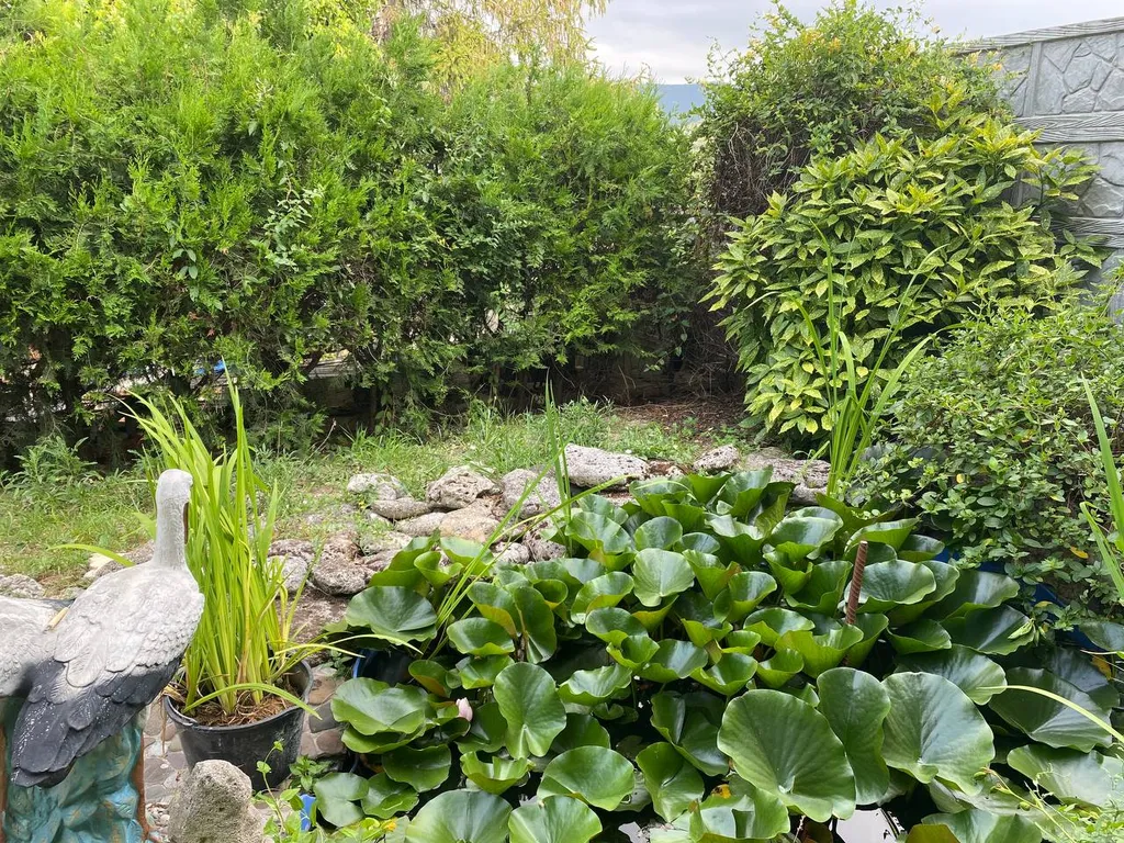 Уютный лавандовый апартамент