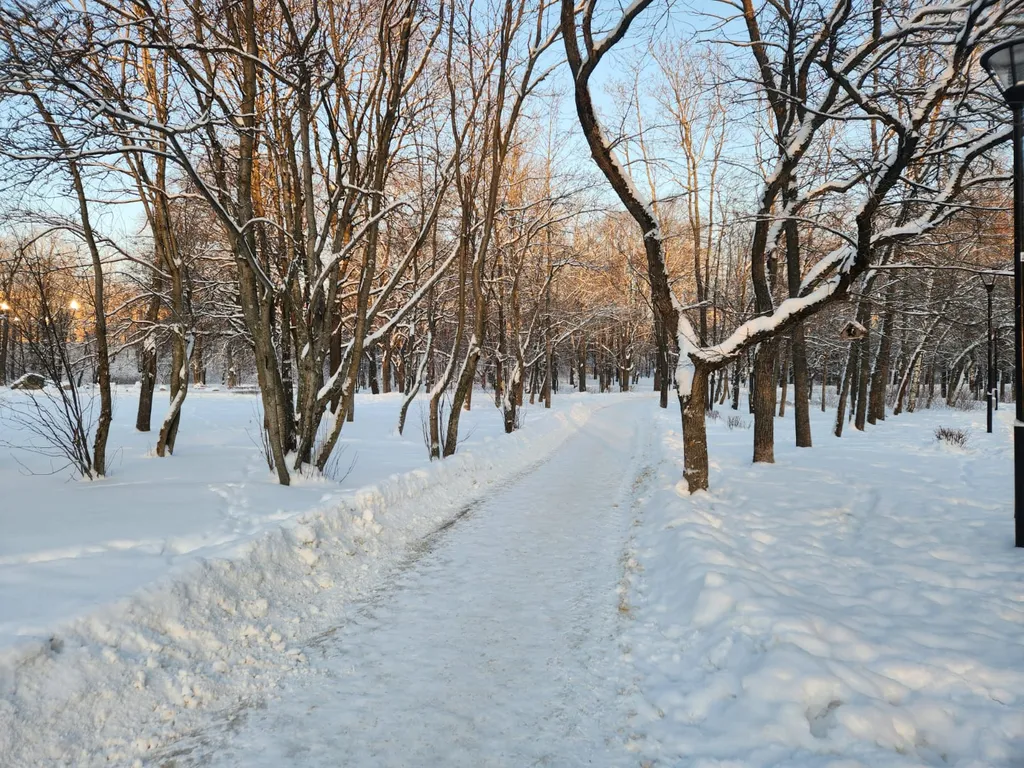 Апартамент в центре в парке на речке